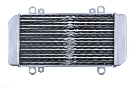 Radiateur d'eau pour Kawasaki Ninja 250R 2008-2012 et Z250