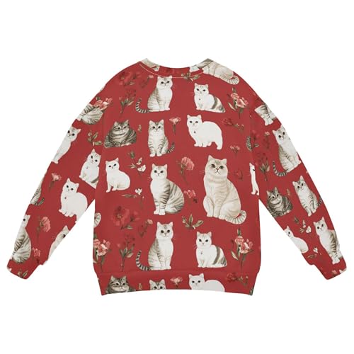 JUNZAN Sweet Scottish Fold Cats Red Kids Boys Sweatshirt Hoodie Crewneck Tops Clothing Shirts Athletic 4T2