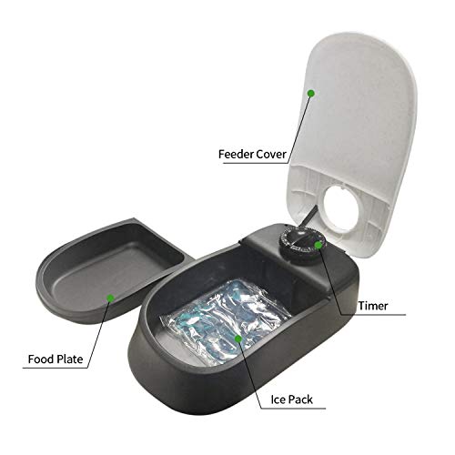 PAWISE Automatic Pet Feeder for Dogs and Cats, 1.5 Cup Food Dispenser Feeder with 48-Hour Timer - Single - Image 3