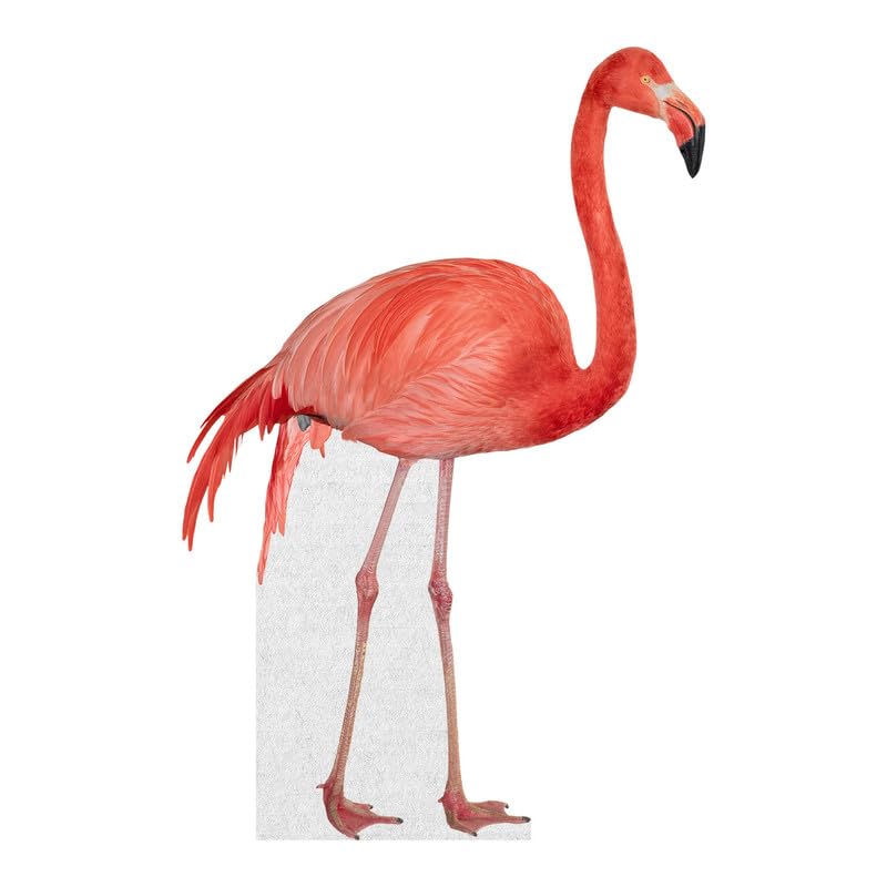 Flamingo - Life Size Cardboard Cutout Standup People with Support Standee | Animals -