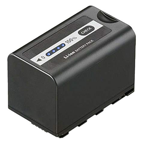 Kastar Battery Replacement for Panasonic Cameras