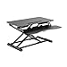 V7 DW1SSGSD-1N Sit-Stand Mount Dual Gas Spring (Vesa 100x100,75x75, up to 13.23 lbs)