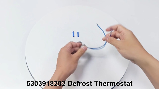 Amazon.com: BlueStars Ultra Durable 5303918202 Refrigerator