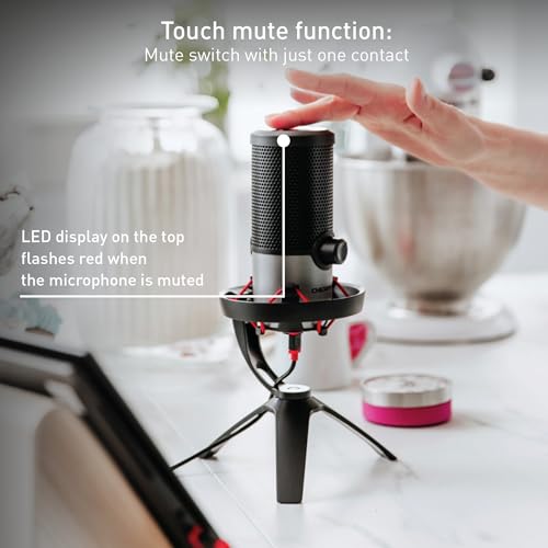 Cherry Um 6.0 Advanced Black. Silver Table Microphone - 6