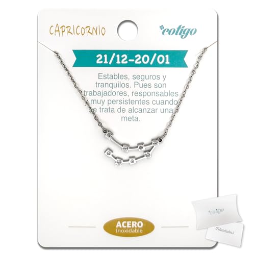 cotigo Collar Signo Zodiaco Acero Inoxidable, 12 Collar Constelaciones con Colgante Horóscopo de Circonita - Collar Mujer para Joyería Astrología (Capricornio - Plateado)