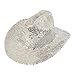 RIAH FASHION Women's Classic Fedora Hat Sparkly Glitter Sequin - Western Cowboy Cowgirl Cosplay Party Costume (US, Alpha, One Size, Silver)