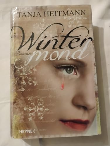 Wintermond: Roman view 2