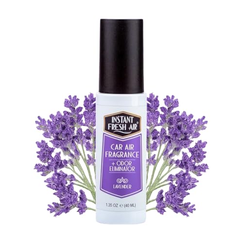 Car Air Freshener Instant Odor Eliminator