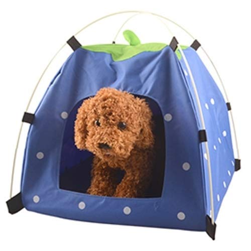 Tente de jardin pliable pour petit chien et chat lit de camping bleu avec tapis