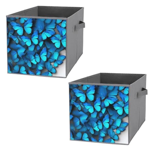 Boîtes de rangement pliables bleu papillon pour étagères et placard - 2