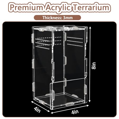 Image of Jumping Spider Enclosure Acrylic Terrarium 8x4x4 | Crystal clear 360 acrylic viewing