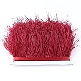 Hermoso borde de plumas para coser disfraces de manualidades, haz tu vida más colorida.