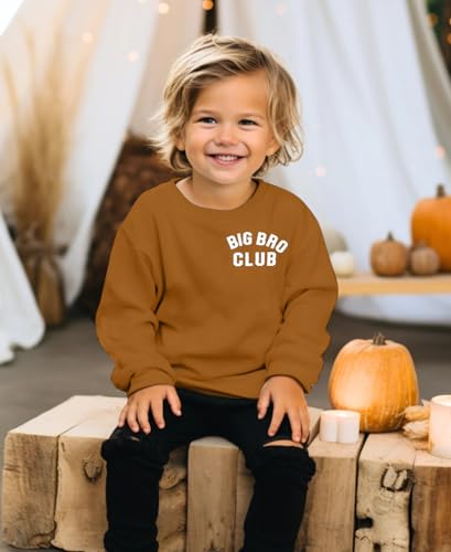 BANGELY Big Bro Club Sweatshirt Boys Promoted to Big Brother Pullover Pregnancy Baby Announcement Toddler Long Sleeve Shirt4