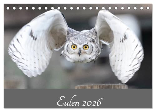 Eulen 2026 (Tischkalender 2026 DIN A5 quer), CALVENDO Monatskalender: Eulen - Die Jäger der Nacht