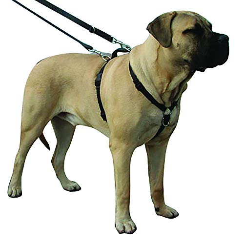 Kumfi Canine Kumfi complete controle harnas maat XL