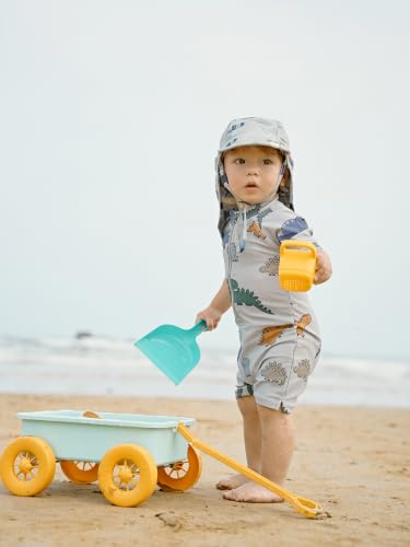Image of Boys One Piece Swimsuit Whale Dolphin Bathing Suit Zipper Rash Guard Kid Short Sleeve Swimwear Shark Beach Wear UPF50+