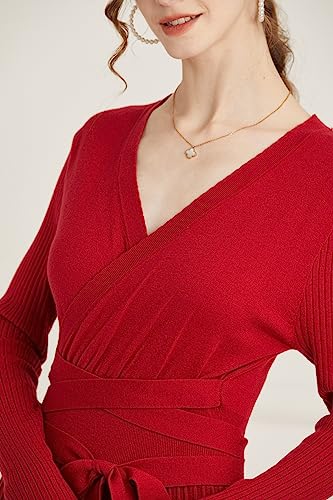 Image of RanRui Womens Winter Fall Pleated Knitted Fit and Flare Long Sleeve Sweater Dress
