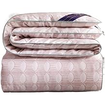 Cotton Quilt Thin Quilt Spring And Autumn Quilt Silk Quilt Core Winter Quilt Dormitory