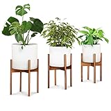 Fox & Fern Set of 3 Plant Stands for Indoor Plants Multiple, Corner Plant Stand Indoor, Indoor Plant Stand, Plant Holder - INCLUDING 3 White Plant Pots 8', 10' and 12' - Drainage Plug - Acacia Wood