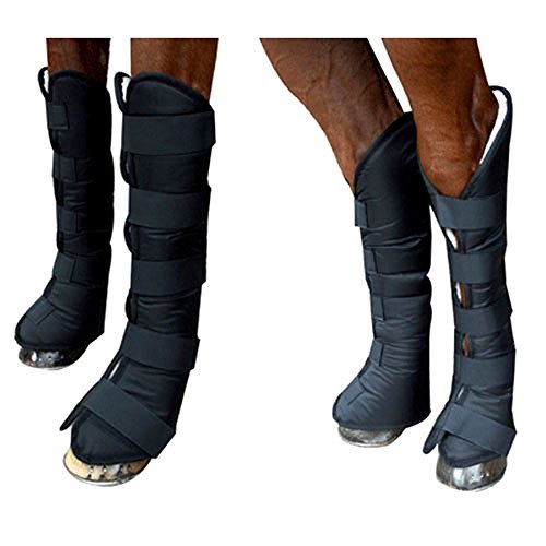 horse shipping boots