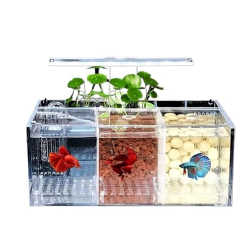 yZeusomzx[^  ANf ~jfXNgbv ^p LbgZbg |vt LED XgbvCg ȏz@\ GR^N aC̋u x^p fXN(3̃O)