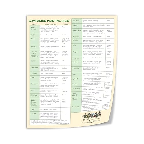 Companion Planting Chart Poster Vegetable Planting Types Reference Guide Canvas Print Wall Art Decor Living Room Office Bedroom 8x10inch(20x25cm) Unframe-style