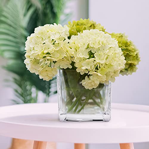Hwashin Set Of 6 Square Glass Vases 4 X 4 Inch, Clear Cube Flower Vases With Sponge Brush thumb #3