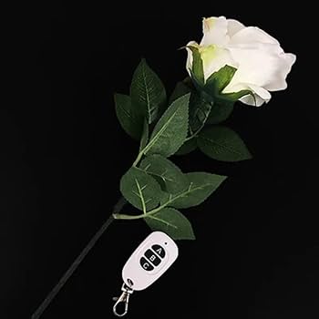 ◎ライトローズ ウィズ リモートコントロール◎花のマジック◎手品◎ 41LC2KI78ZL._AC_UF350,