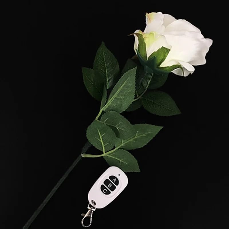 新品、未使用　the Rose act  ローズアクト　送料無料　マジック　手品 新品、未使用 the Rose act ローズアクト 送料無料 マジック 手品
