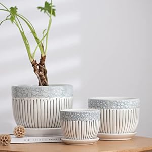 Ton Sin Grey Flower PotsTexture Planter for Indoor Plants Set of 3 Ceramic Flower Pots with SaucerCute Garden Pots Succulent Pots3 PackGrey