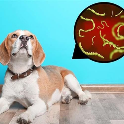 Parásitos: un problema para tener presente en los perros