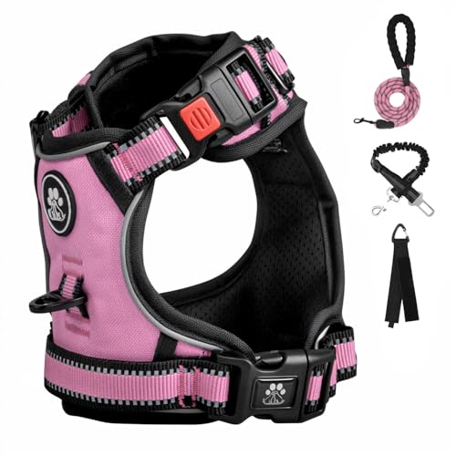FURRYFECTION Dog Harness | No Pull Dog Harness | Reflective Oxford | Padded Handle | 4 Adjustable Straps | 2 Leash Clips | No Choke Pet Vest Harness for Small Medium Large Dogs | Pink | L