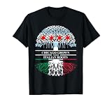 Chicago Grown Italian Roots Flag of Chicago, Italy, Italy T-Shirt, Men, Black, Small