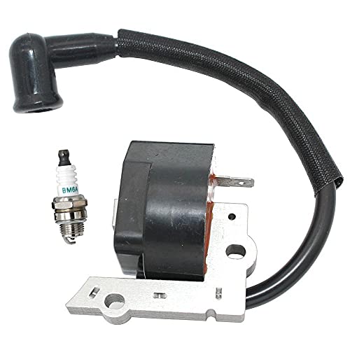Bobina del módulo de encendido para solucionar problemas de arranque 4