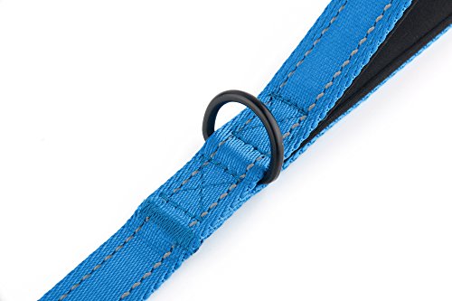 Primal Pet Gear Dog Leash 6ft Long,Traffic Padded Two Handle,Heavy Duty,Reflective Double Handles Lead for Control Safety Training,Leashes for Large Dogs or Medium Dogs,Dual Handles Leads(Blue)