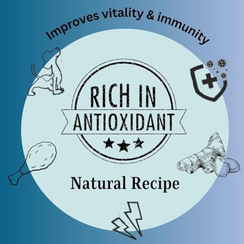 Image of Chicken & Ginger Treat for Dog | Mega Pack | Protein Rich | Anti-Inflammatory | Crunchy Healthy Snacks | (45Grm)