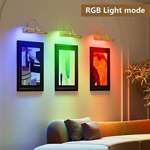 Enwegey Picture Light14 Inch - Wireless Painting Light With Remote, Rechargeable Picture Light Battery Operated, Display Light With Rgb Lighting Dimmable And Timer Set Detachable Art Lights #TOP2