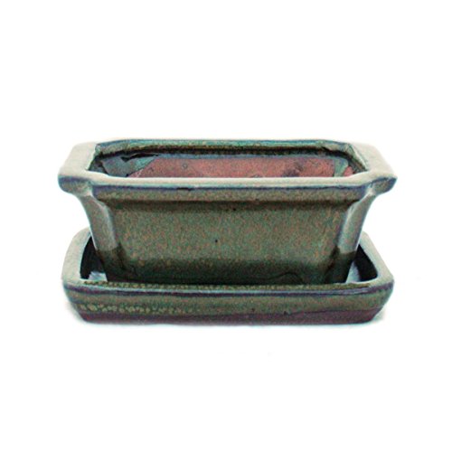 Bol de bonsaï avec soucoupe - Taille : 1 - Marron olive - Modèle : G13 - Longueur : 12 cm - Largeur : 9,5 cm - Hauteur : 4,5 cm