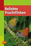 prachtfinken kaufen  Beliebte Prachtfinken