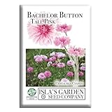 Bachelor Button Tall Pink Cornflower Flower Seeds, 300+ Seeds Per Packet, (Isla's Garden Seeds), Botanical Name: Centaurea cyanus, Non GMO & Heirloom Seeds