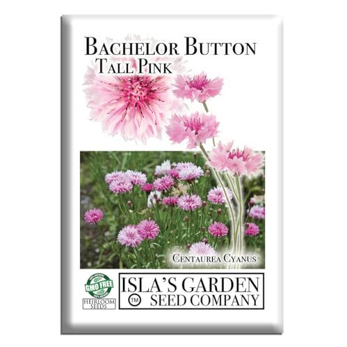 Bachelor Button Tall Pink Cornflower Flower Seeds, 300+ Seeds Per Packet, (Isla's Garden Seeds...