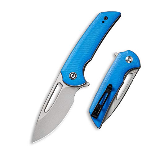 CIVIVI Odium Small Folding Knife –2.65" Stonewashed D2 blade, G10 Handle, Ball Bearings Pivot, Flipper Opening Knife with Reversible Deep Carry Clip C2010C (Blue)