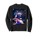 Photo Gallery ocean birds animal universe galaxy stars atlantic puffins felpa Photo Gallery ocean birds animal universe galaxy stars atlantic puffins felpa