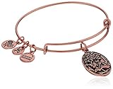 Alex and Ani Because I love you, Sister II Expandable Bangle Bracelet