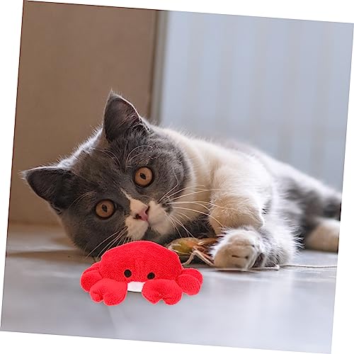INOOMP 4Pcs Brinquedo De Gato Brinquedos Indestrutíveis Para Cães Brinquedos De Dentição De Gato Bri