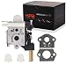 HIPA RB-K75 Carburetor with Gasket Primer Bulb for ECHO GT200 GT200i GT200R GT201i SRM210 SRM210i SRM210U SRM211 SRM211i SRM211U Trimmer HC200 HC201 PE200 PE201 PPF210 PPF211 Pole pruner