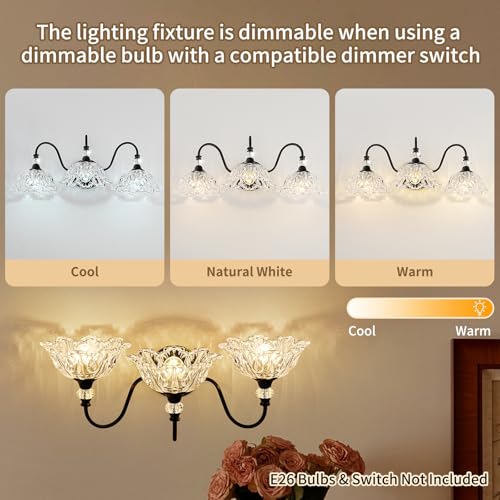 Image of Black Bathroom Vanity Light,3-Light Vanity Light with Crystal Glass Shades,Vintage Farmhouse Vanity Lighting for Bathroom and Dressing Table