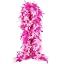 Red Fuchsia