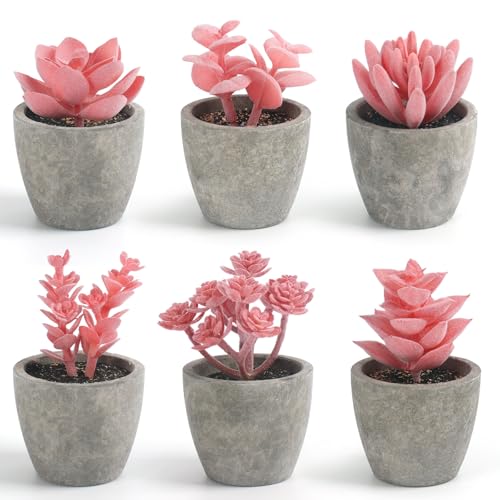 DomeStar Set of 6 Artificial Succulent Plants Potted, Assorted Decorative Pink Faux Succulent Potted Fake Cactus Cacti Plants with Pots