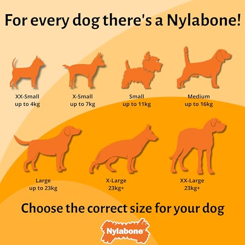 Nylabone, Basted Blast, Extrem starker Kaueffekt, Hundespielzeug aus Nylon, Knochenform, Haltbarer Kauknochen, Geschmack: Speck und Steak, Klein, Für Hunde bis 11 kg, 2er Pack